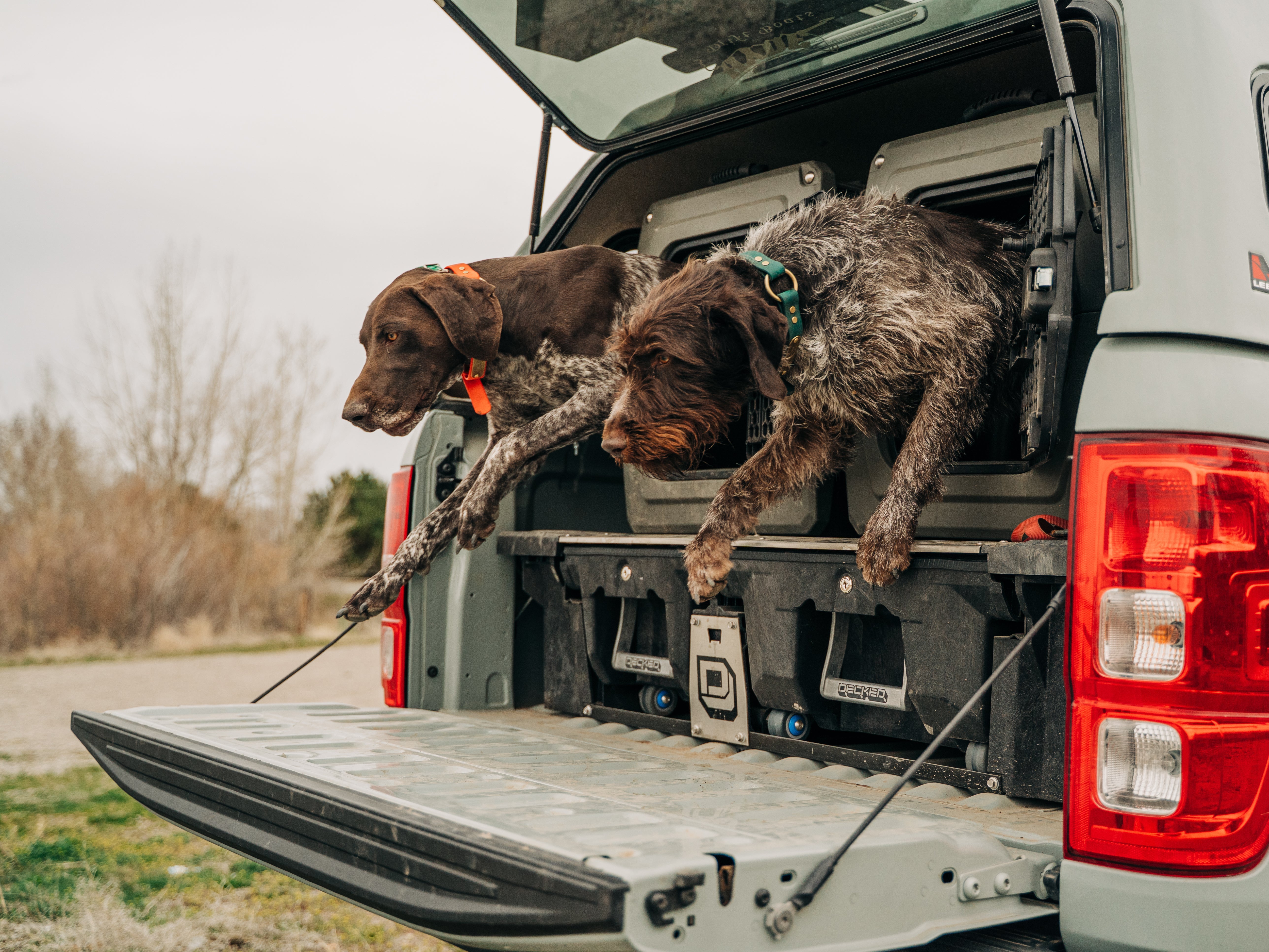 Hunting Style O-Ring Dog Collars