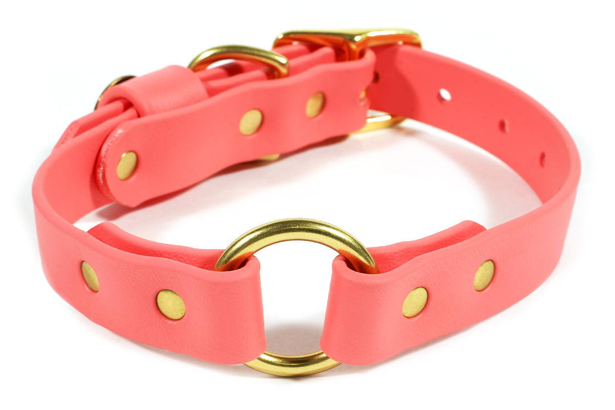 Hunting Dog Center Ring Collar - Coral