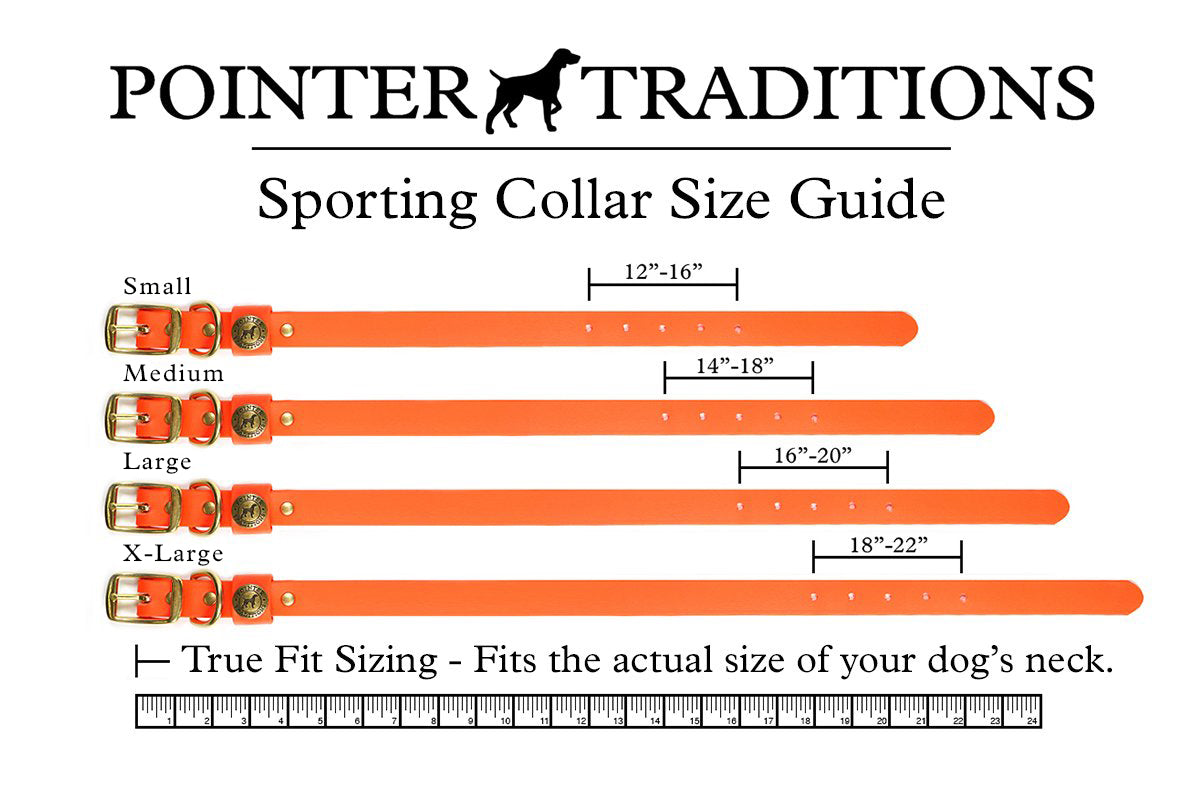 Sporting Dog Collar - Sky Blue